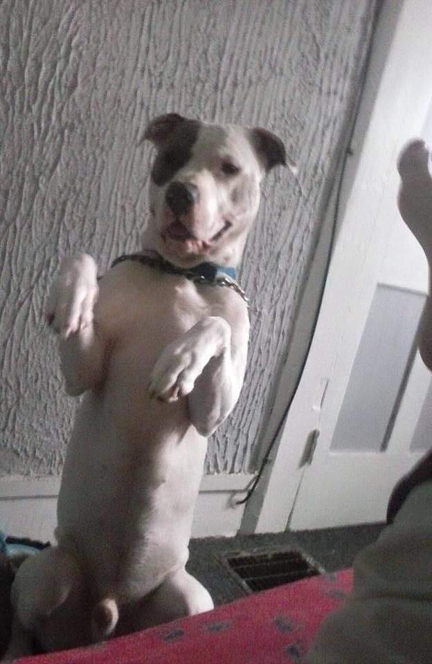 spanky martinez