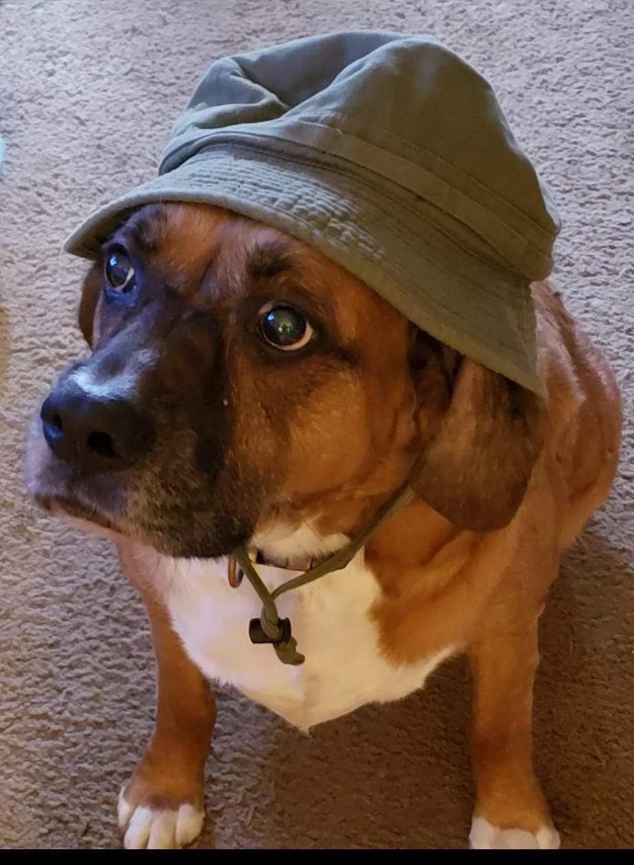 rosco czerw