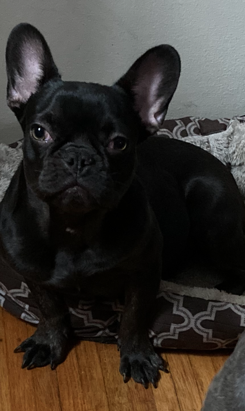 coco chanel