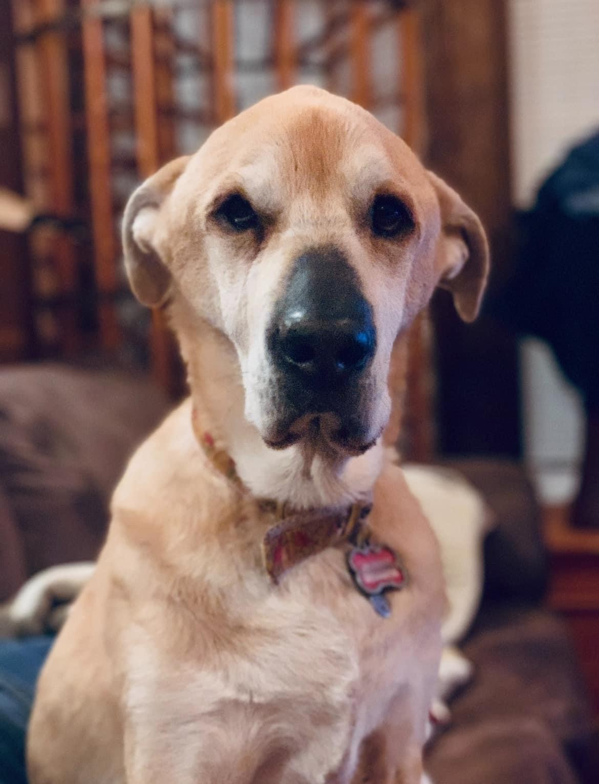 zoey del plato