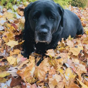 bella  keenan Gallery