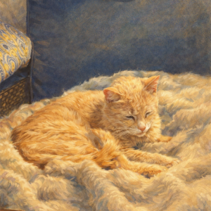 	butter forte Gallery