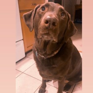 miley schlicker Gallery