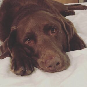 miley schlicker Gallery