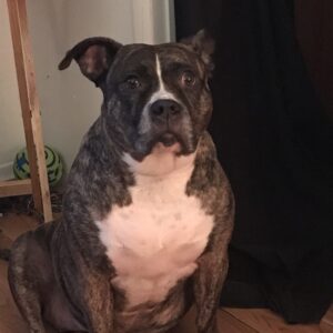 macee  grace Gallery