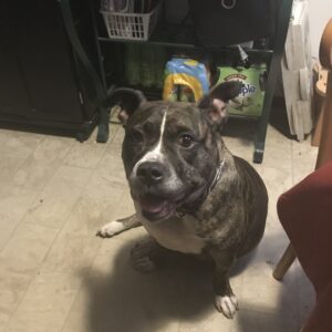 macee  grace Gallery