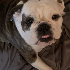 harley  weaver Gallery