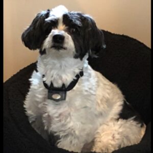 wrigley heltemes Gallery